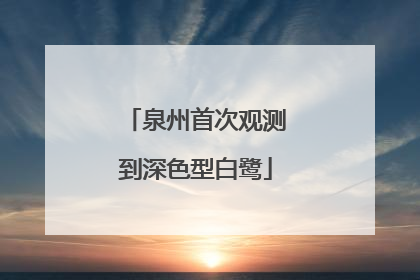泉州首次观测到深色型白鹭
