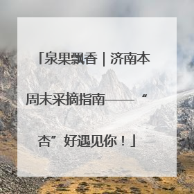 泉果飘香｜济南本周末采摘指南——“杏”好遇见你！