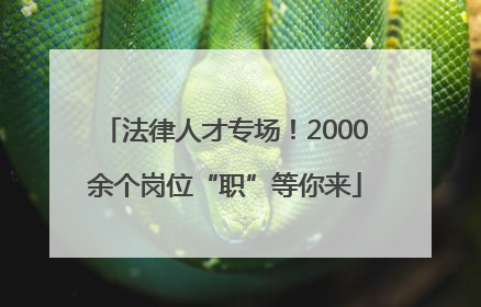 法律人才专场！2000余个岗位“职”等你来