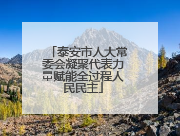 泰安市人大常委会凝聚代表力量赋能全过程人民民主