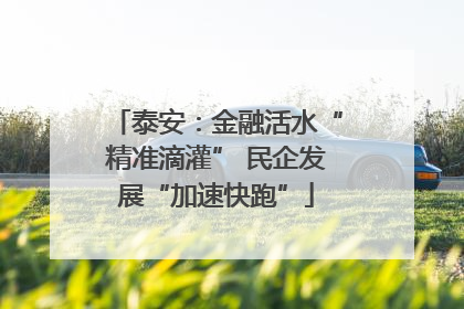 泰安：金融活水“精准滴灌” 民企发展“加速快跑”