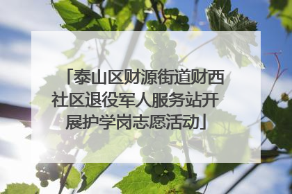 泰山区财源街道财西社区退役军人服务站开展护学岗志愿活动
