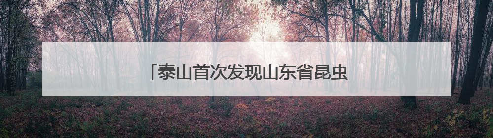 泰山首次发现山东省昆虫新记录种——香椿巴木虱