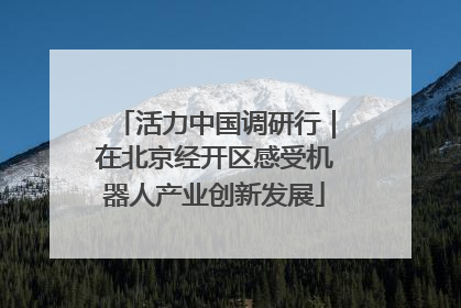 活力中国调研行｜在北京经开区感受机器人产业创新发展