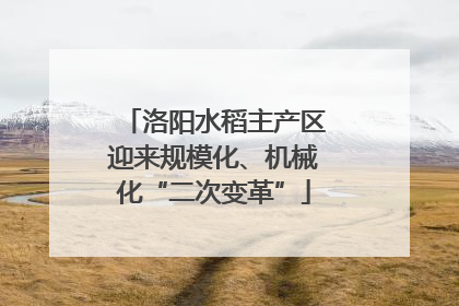 洛阳水稻主产区迎来规模化、机械化“二次变革”