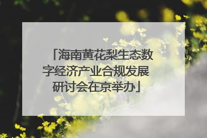 海南黄花梨生态数字经济产业合规发展研讨会在京举办