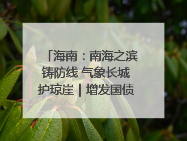 海南：南海之滨铸防线 气象长城护琼崖｜增发国债气象项目落地见效系列报道
