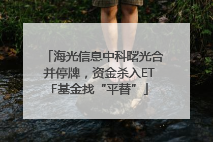 海光信息中科曙光合并停牌，资金杀入ETF基金找“平替”