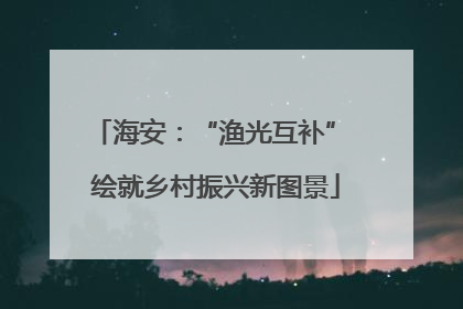 海安：“渔光互补” 绘就乡村振兴新图景