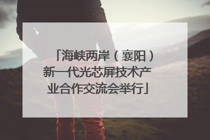 海峡两岸（襄阳）新一代光芯屏技术产业合作交流会举行