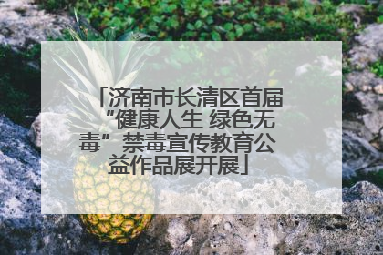济南市长清区首届“健康人生 绿色无毒”禁毒宣传教育公益作品展开展