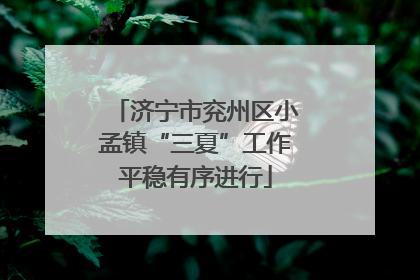 济宁市兖州区小孟镇“三夏”工作平稳有序进行