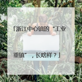 浙江中心镇的“工业重镇”，长啥样？