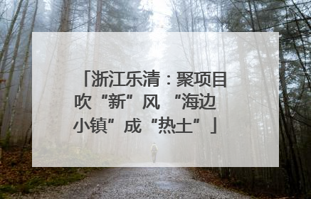 浙江乐清：聚项目吹“新”风 “海边小镇”成“热土”