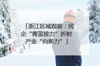 浙江区域观察：民企“青蓝接力”折射产业“向新力”