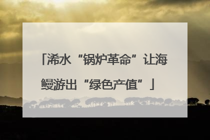 浠水“锅炉革命”让海鳗游出“绿色产值”