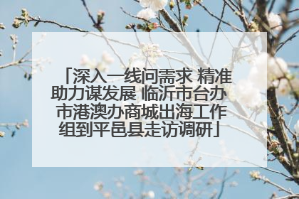 深入一线问需求 精准助力谋发展 临沂市台办 市港澳办商城出海工作组到平邑县走访调研