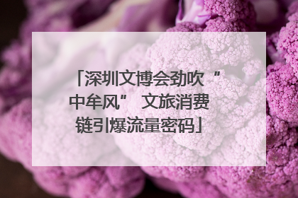 深圳文博会劲吹“中牟风” 文旅消费链引爆流量密码