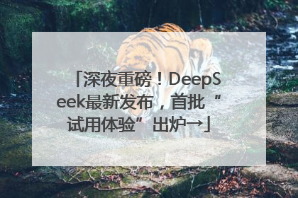深夜重磅！DeepSeek最新发布，首批“试用体验”出炉→
