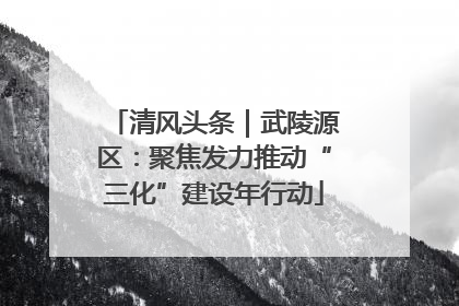 清风头条｜武陵源区：聚焦发力推动“三化”建设年行动
