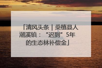 清风头条｜桑植县人潮溪镇：“迟到”5年的生态林补偿金