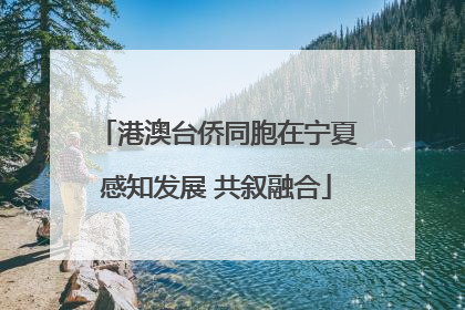 港澳台侨同胞在宁夏感知发展 共叙融合