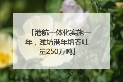 港航一体化实施一年，潍坊港年增吞吐量250万吨