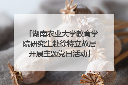 湖南农业大学教育学院研究生赴徐特立故居开展主题党日活动