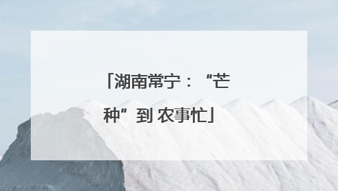 湖南常宁：“芒种”到 农事忙