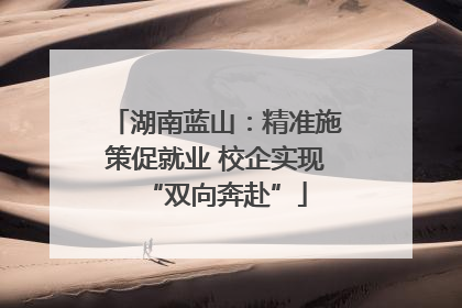湖南蓝山：精准施策促就业 校企实现“双向奔赴”