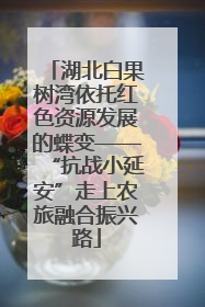 湖北白果树湾依托红色资源发展的蝶变——“抗战小延安”走上农旅融合振兴路