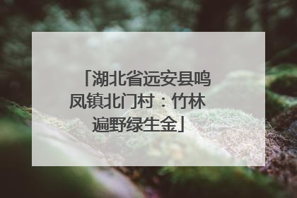 湖北省远安县鸣凤镇北门村：竹林遍野绿生金