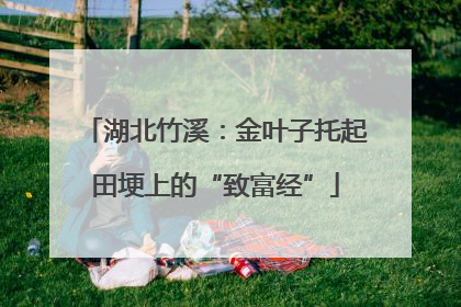 湖北竹溪：金叶子托起田埂上的“致富经”