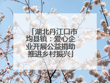 湖北丹江口市均县镇：爱心企业开展公益捐助推进乡村振兴