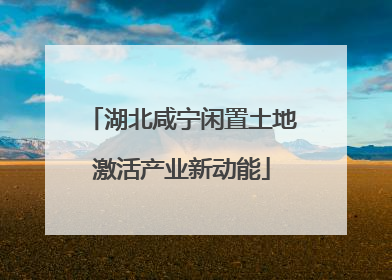 湖北咸宁闲置土地激活产业新动能
