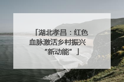 湖北孝昌：红色血脉激活乡村振兴“新动能”