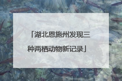 湖北恩施州发现三种两栖动物新记录