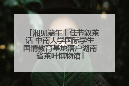 湘见端午丨佳节叙茶话 中南大学国际学生国情教育基地落户湖南省茶叶博物馆