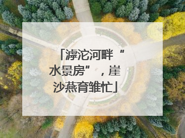 滹沱河畔“水景房”，崖沙燕育雏忙