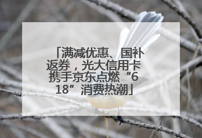 满减优惠、国补返券，光大信用卡携手京东点燃“618”消费热潮