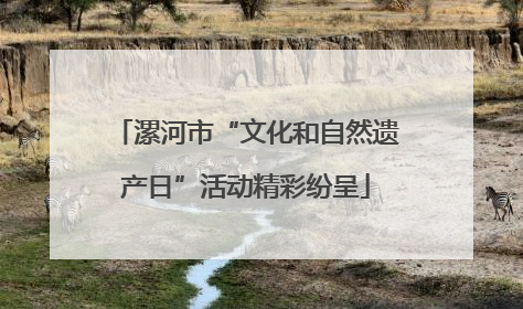 漯河市“文化和自然遗产日”活动精彩纷呈