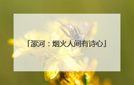 漯河：烟火人间有诗心