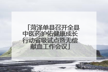 菏泽单县召开全县中医药护佑健康成长行动省级试点暨无偿献血工作会议