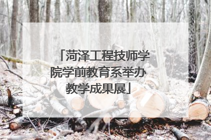 菏泽工程技师学院学前教育系举办教学成果展