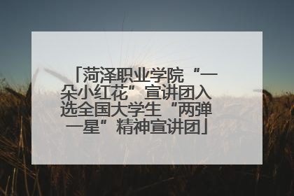 菏泽职业学院“一朵小红花”宣讲团入选全国大学生“两弹一星”精神宣讲团