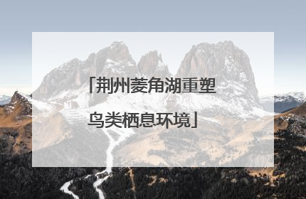 荆州菱角湖重塑鸟类栖息环境