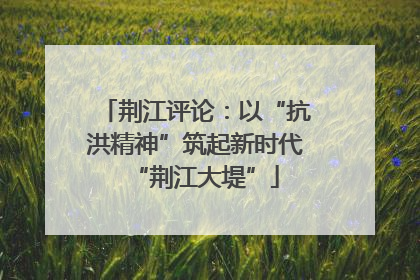 荆江评论：以“抗洪精神”筑起新时代“荆江大堤”
