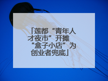 莲都“青年人才夜市”开摊 “盒子小店”为创业者兜底