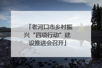 老河口市乡村振兴“四项行动”建设推进会召开