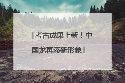 考古成果上新！中国龙再添新形象